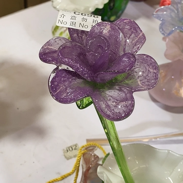 夜光花高38厘米左右