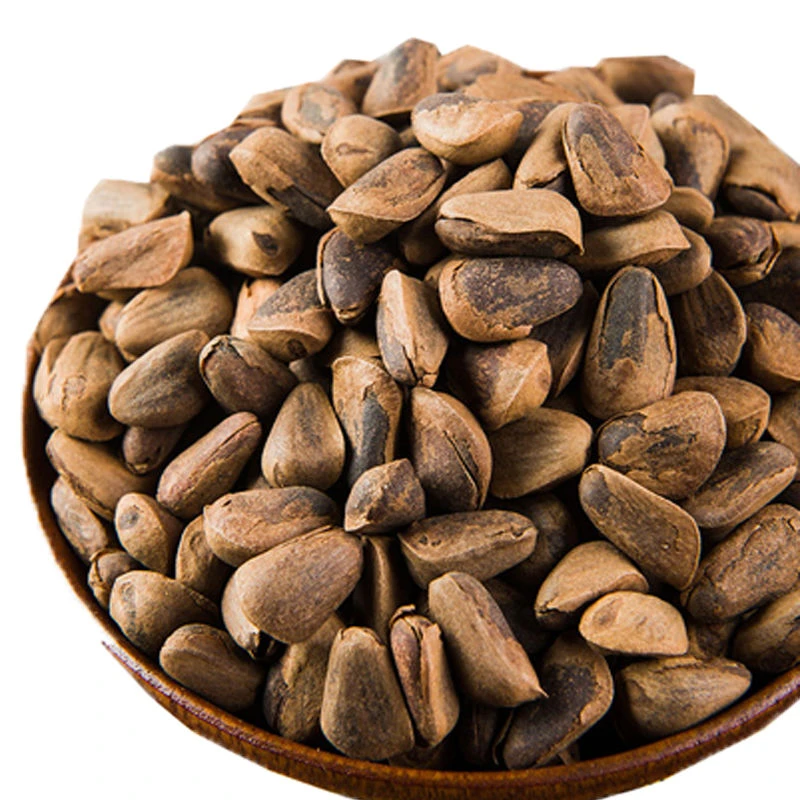 新货开口松子东北红松子中颗粒带壳开口松子坚果批发孕妇零净重