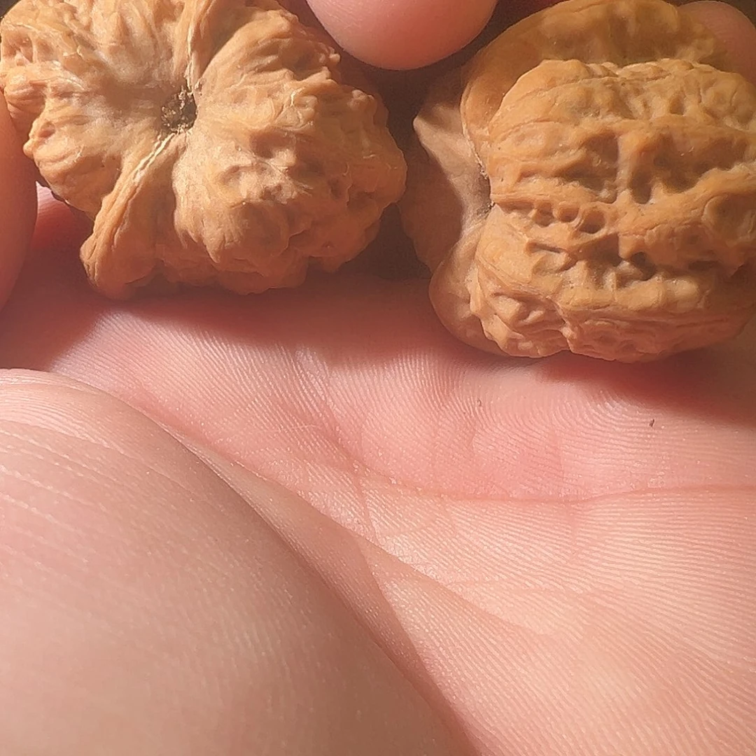 用***4把件文玩核桃文玩