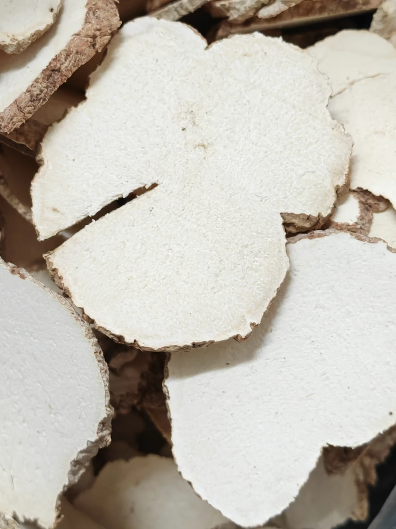 【楚燕滋䃼】虎奶菌 虎乳片 大片 干货 煲汤煮水