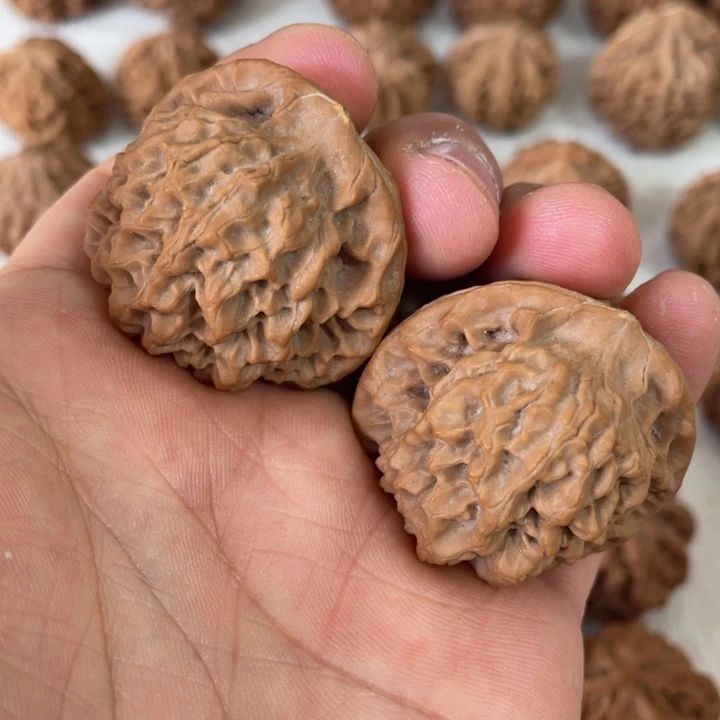 核桃其他秦岭核桃秦闷