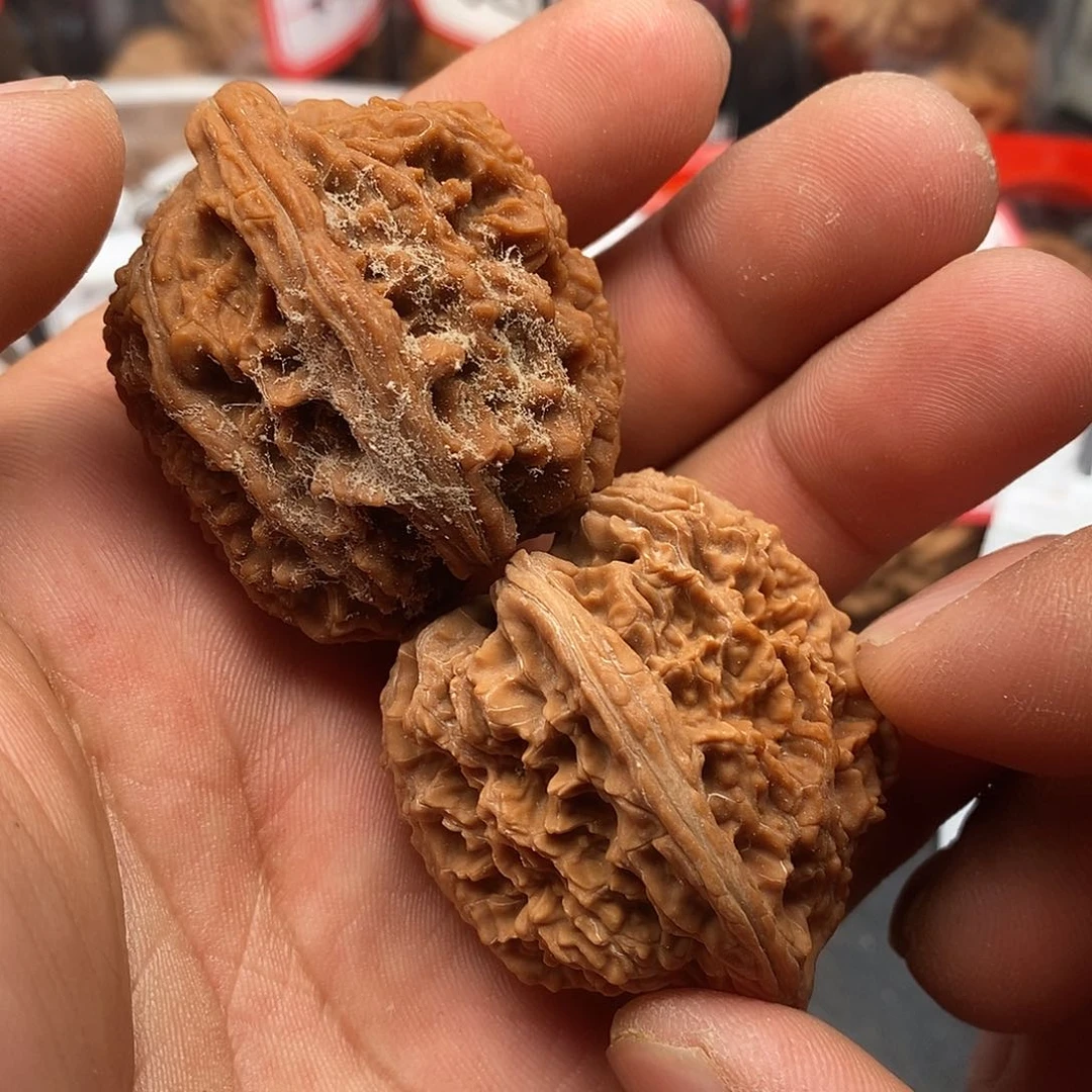 文玩核桃把件练手