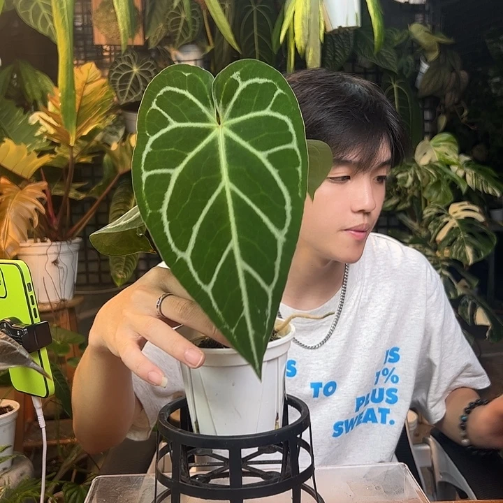 F***y完全开放一物一拍J196