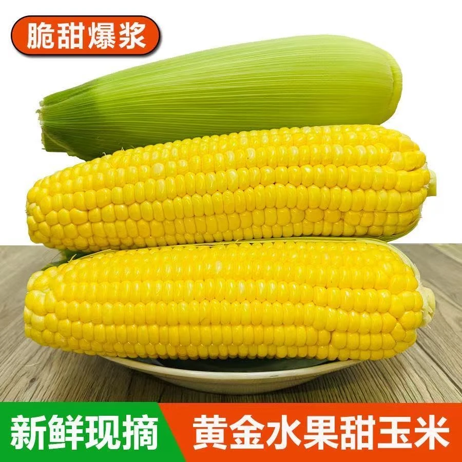 洪湖颜姐甜玉米露天玉米5斤包邮