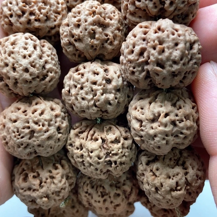 金刚菩提吊坠5瓣23飓肉蜂王