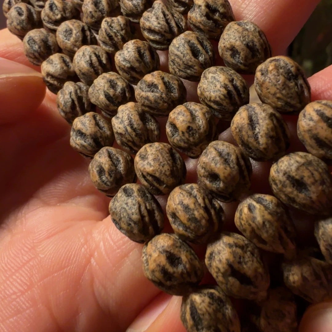 小***生柏香籽/百香籽吊坠