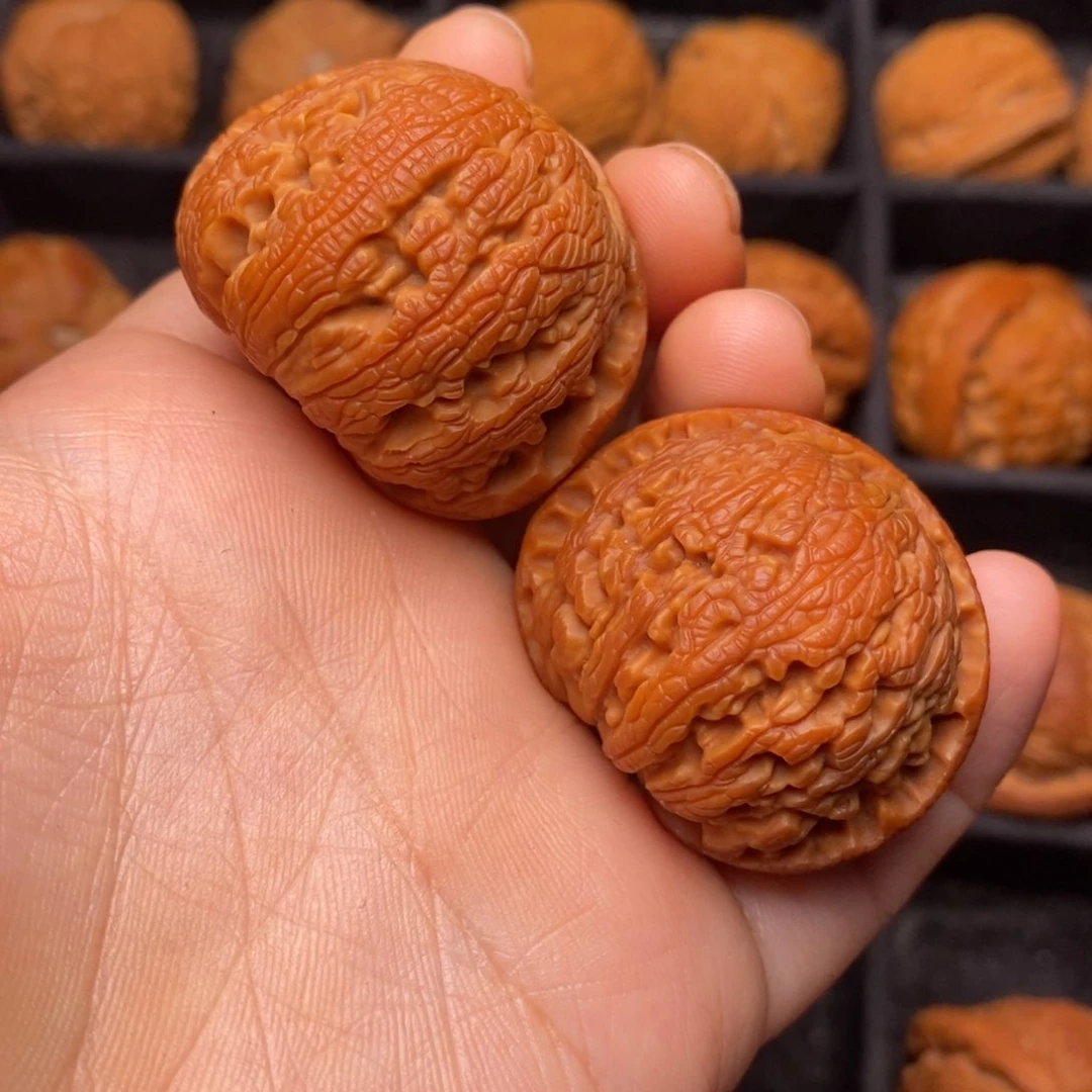 秦岭野生文玩核桃