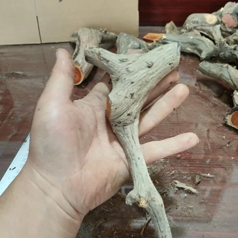 运***持核桃木/黑胡桃（胡桃木）