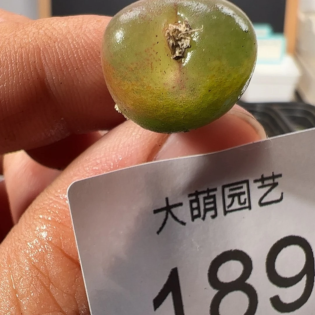 0000189 一物一拍……