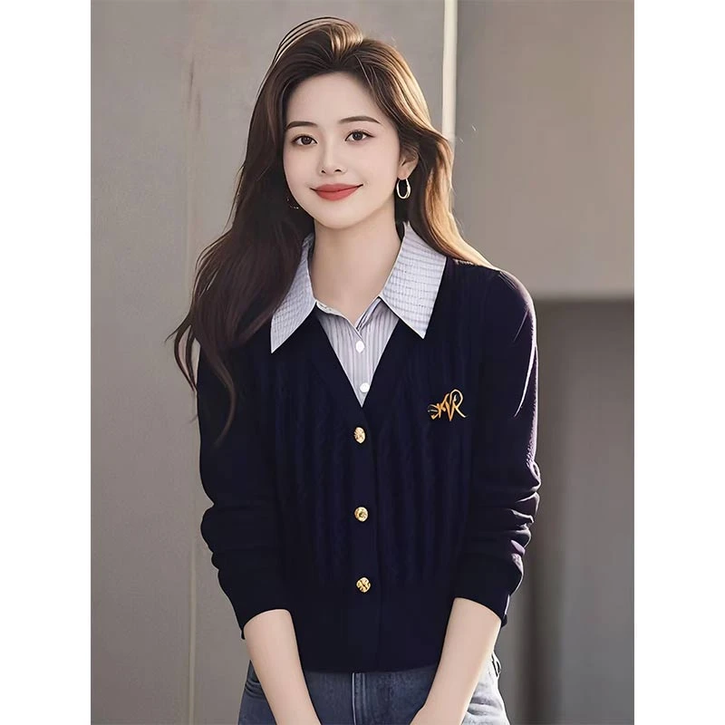 2025年春秋季新款时尚洋气拼接撞色学院风假两件POLO领针织衫潮