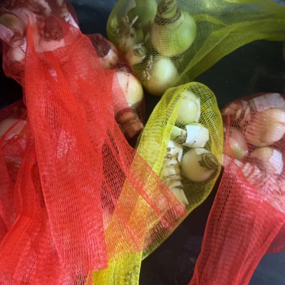 S孤挺花园 BQ盲盒 裸球