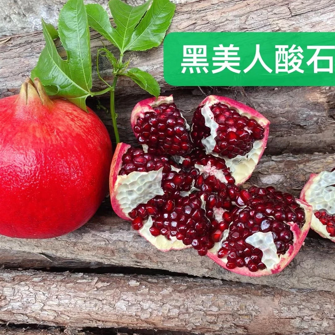云南省红河州蒙自市甜石榴和酸石榴包邮