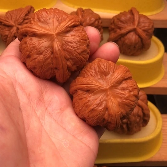 文玩核桃吊坠因*核桃