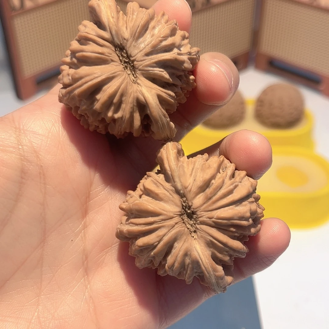 核桃46全品四座楼