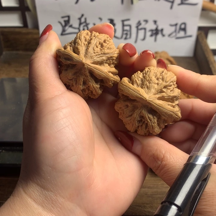 文玩核桃吊坠美***子粗筋