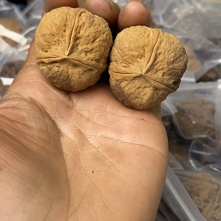 核桃云南铁核桃基地44