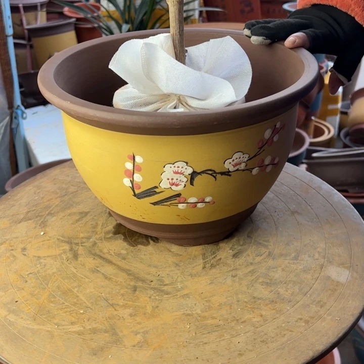 紫砂宜兴紫砂花盆005中