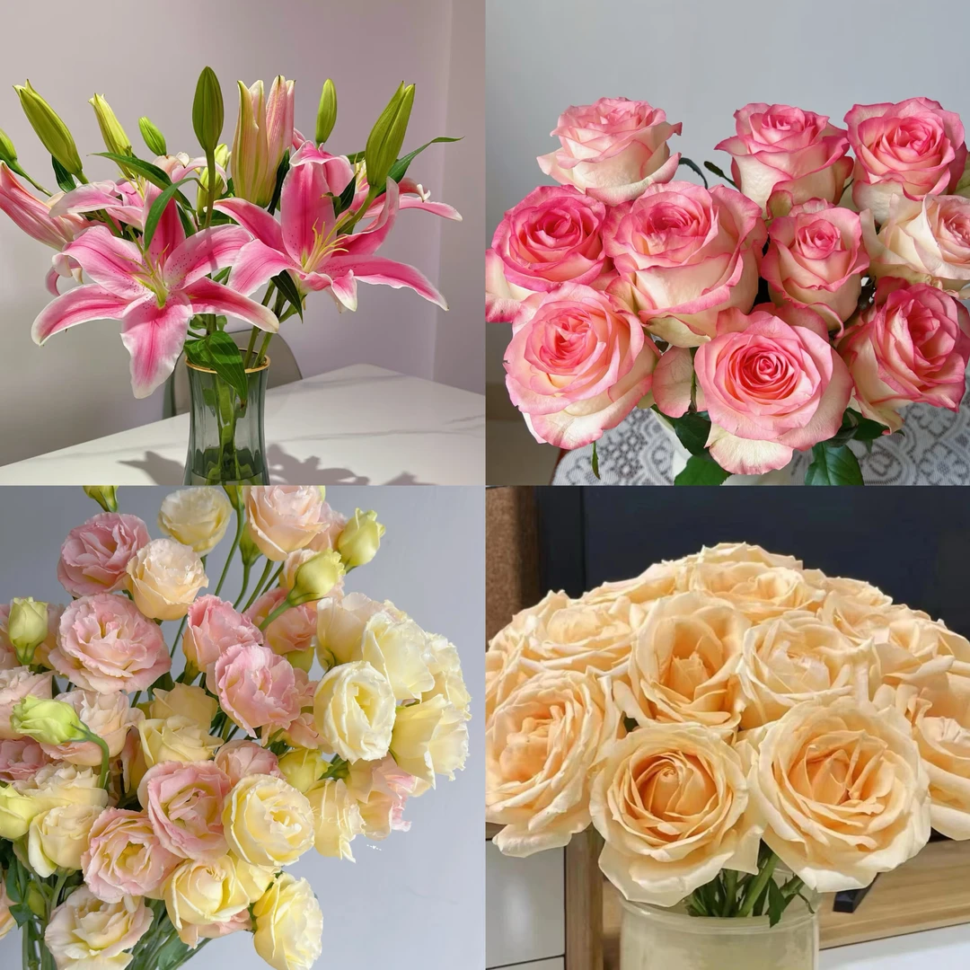 【艾莎玫瑰组合】艾莎玫瑰 香槟玫瑰鲜花家庭插花水养鲜花
