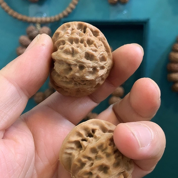 手串金刚菩提德*哥金刚