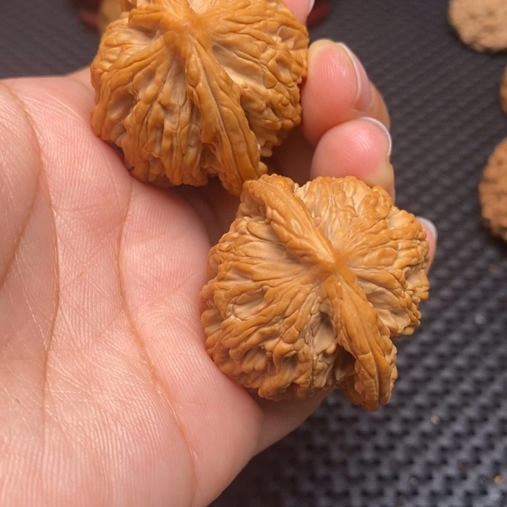 秦岭野生1111111111