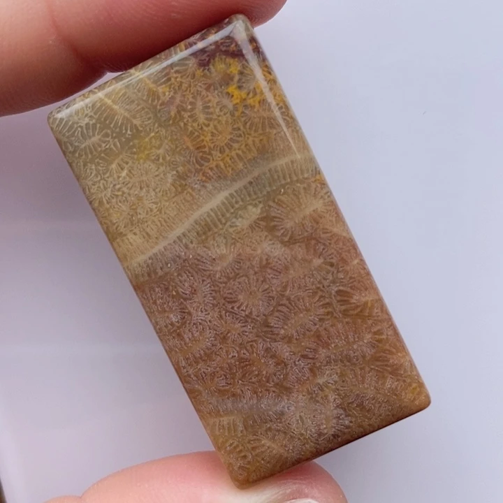 硅化玉手镯未镶嵌