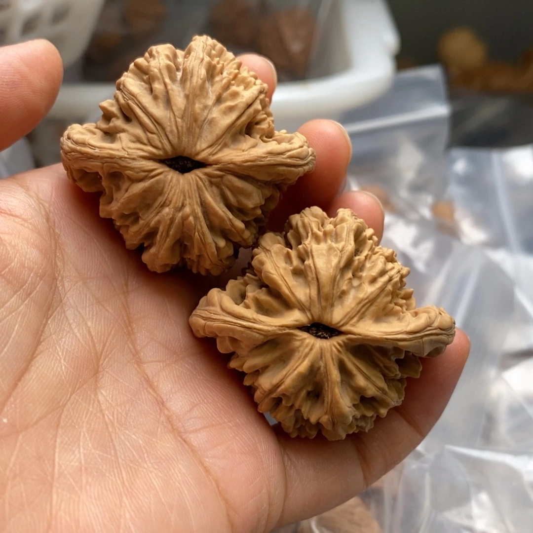 文玩核桃把件堂上42尺