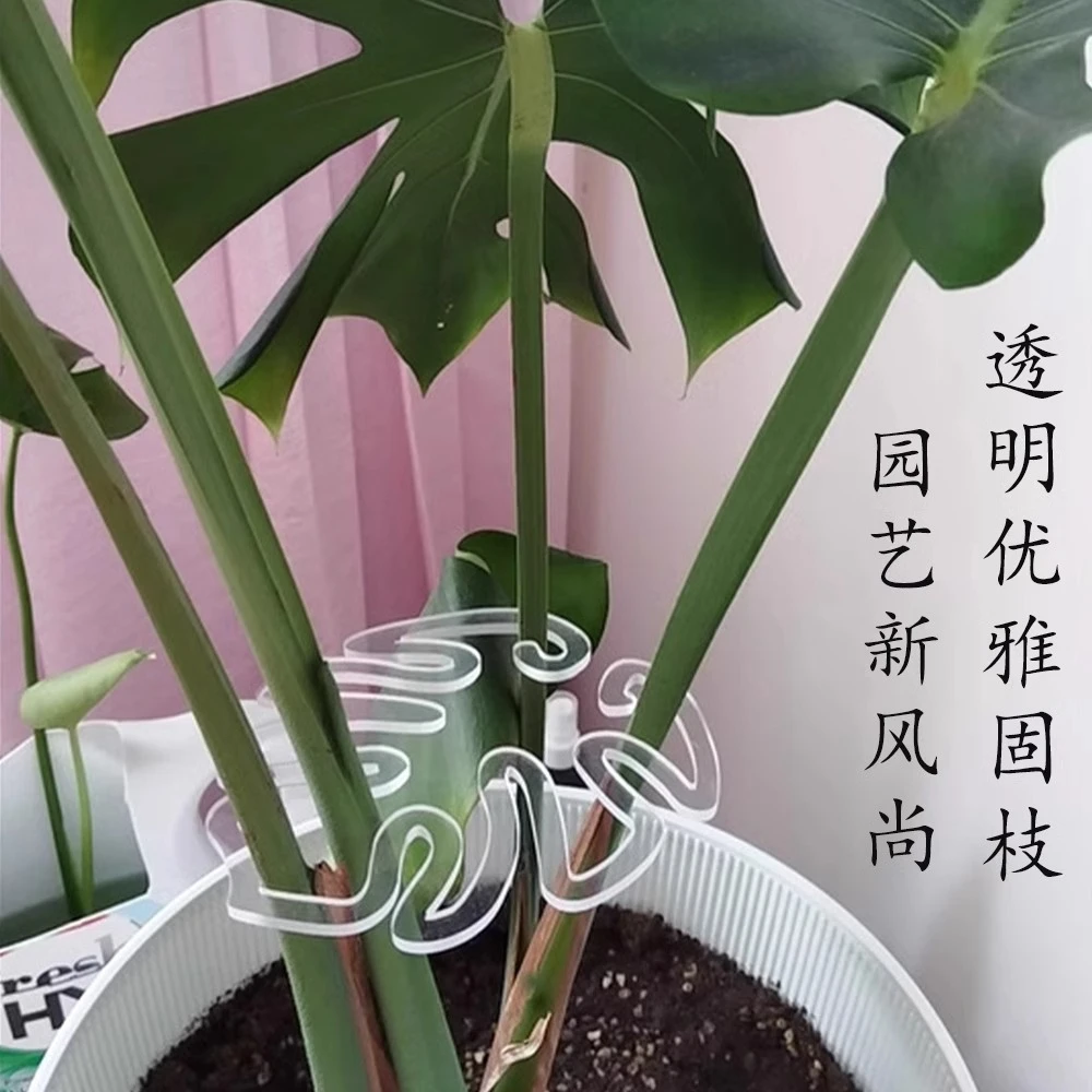 春雨支架绿植物水培枝干防倒伏固定器园艺花卉收拢架龟背竹支撑杆