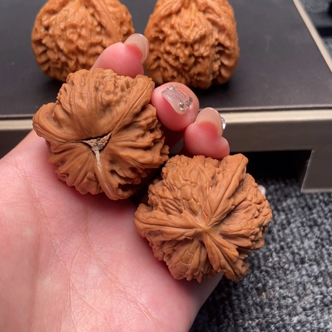 福***哥木质类白狮子正奔