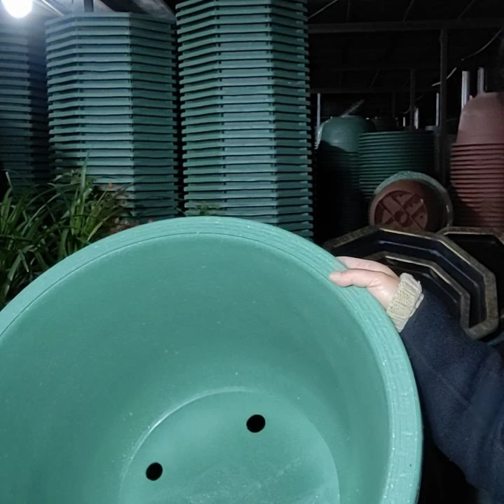 塑料50无托盘有孔10个