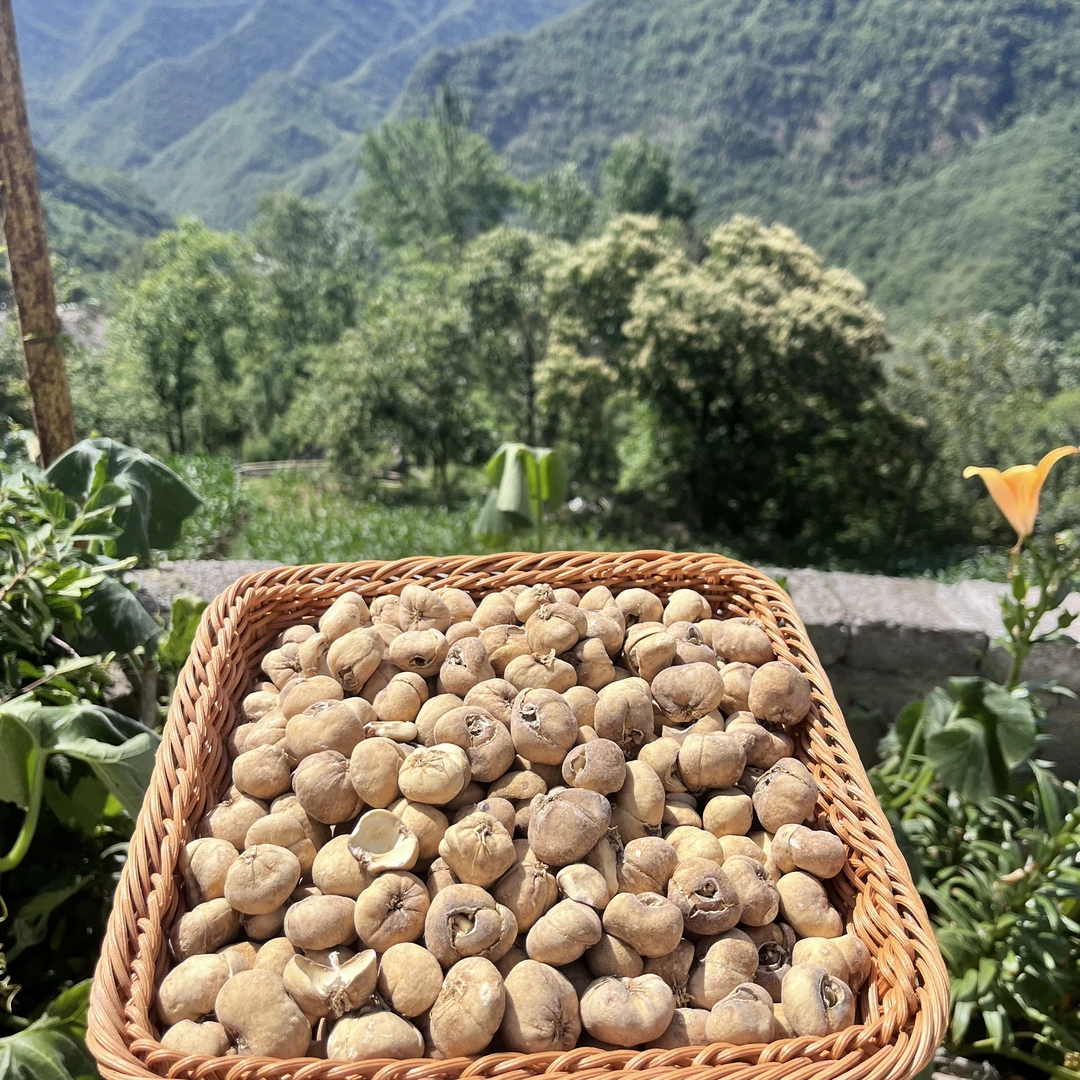 【神农架贝母 100g】老乡深山自采下山货