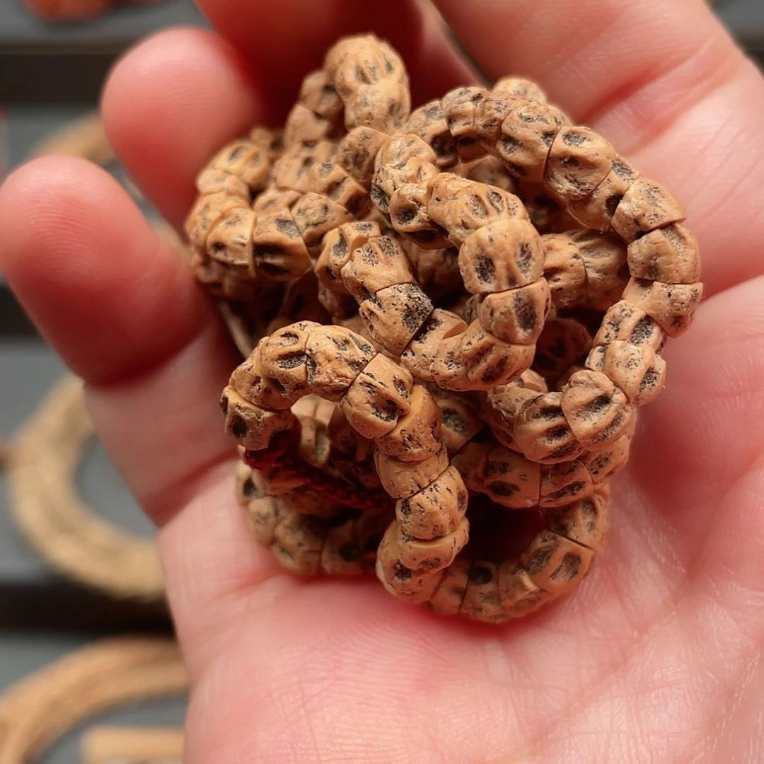 吊坠柏香籽/百香籽热振油皮尸坨林大肠