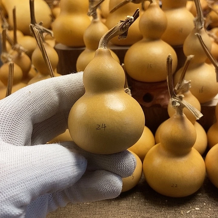 文玩葫芦 完美主义者 慎拍24