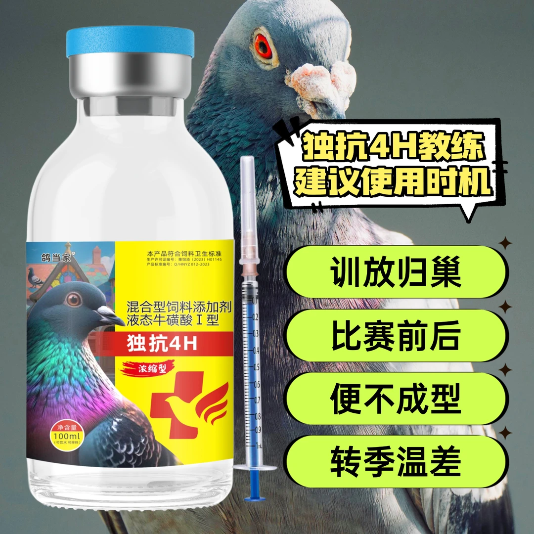 鸽当家独抗4H新城益甩拉吐水绿变鸽用品
