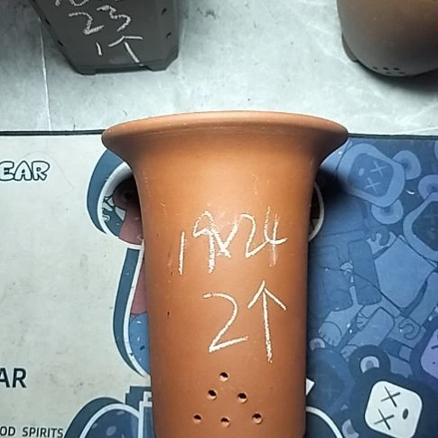 大红兰花两个花盆