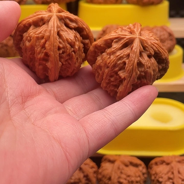 你***瑶核桃核桃核桃核桃仁