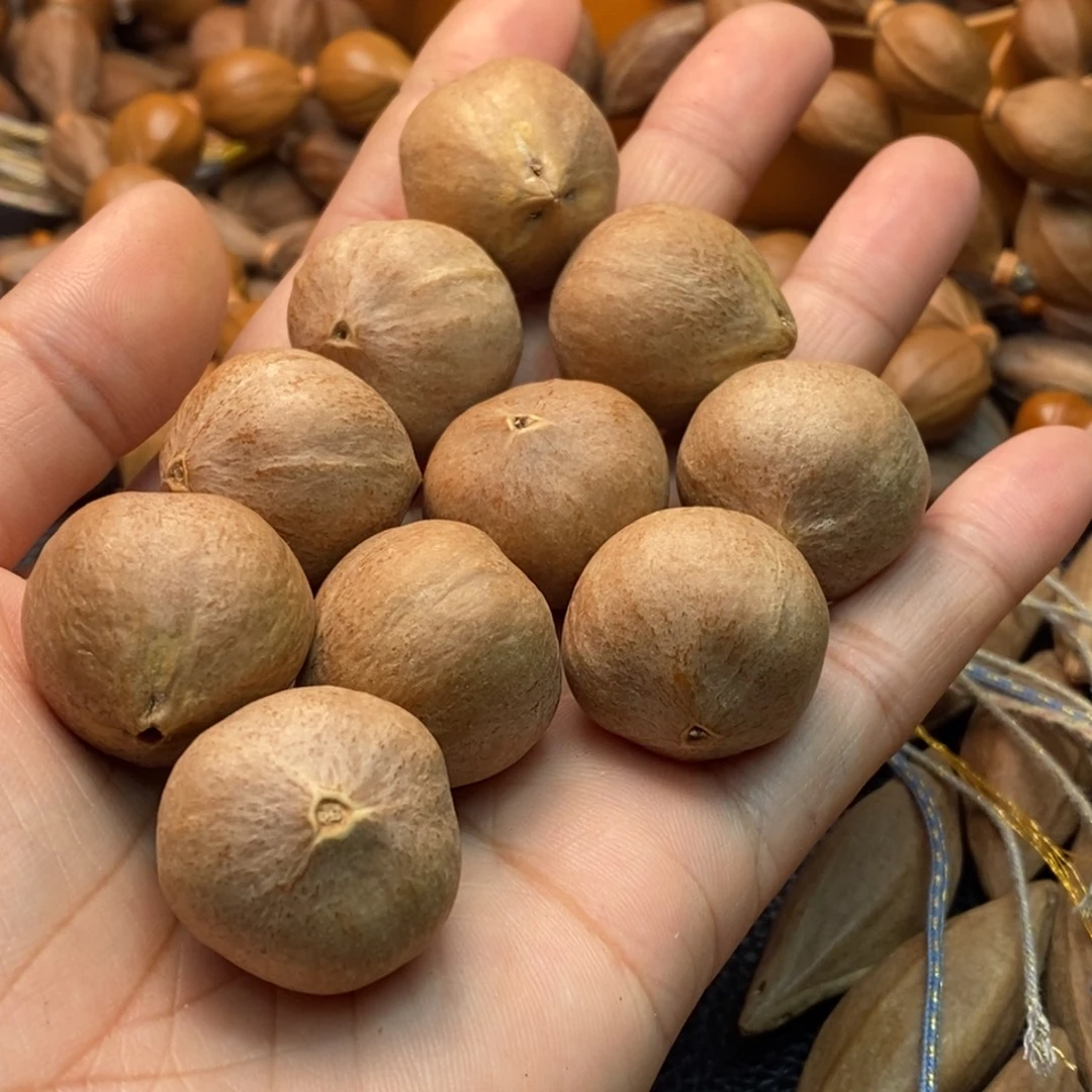 ໑***꧂手串/手链橄榄核1