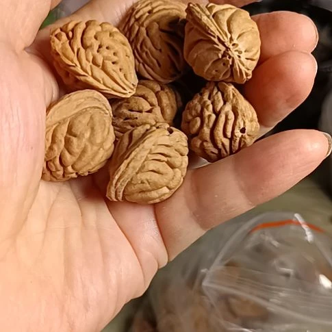 文玩核桃手串芦**雪太扁形桃核