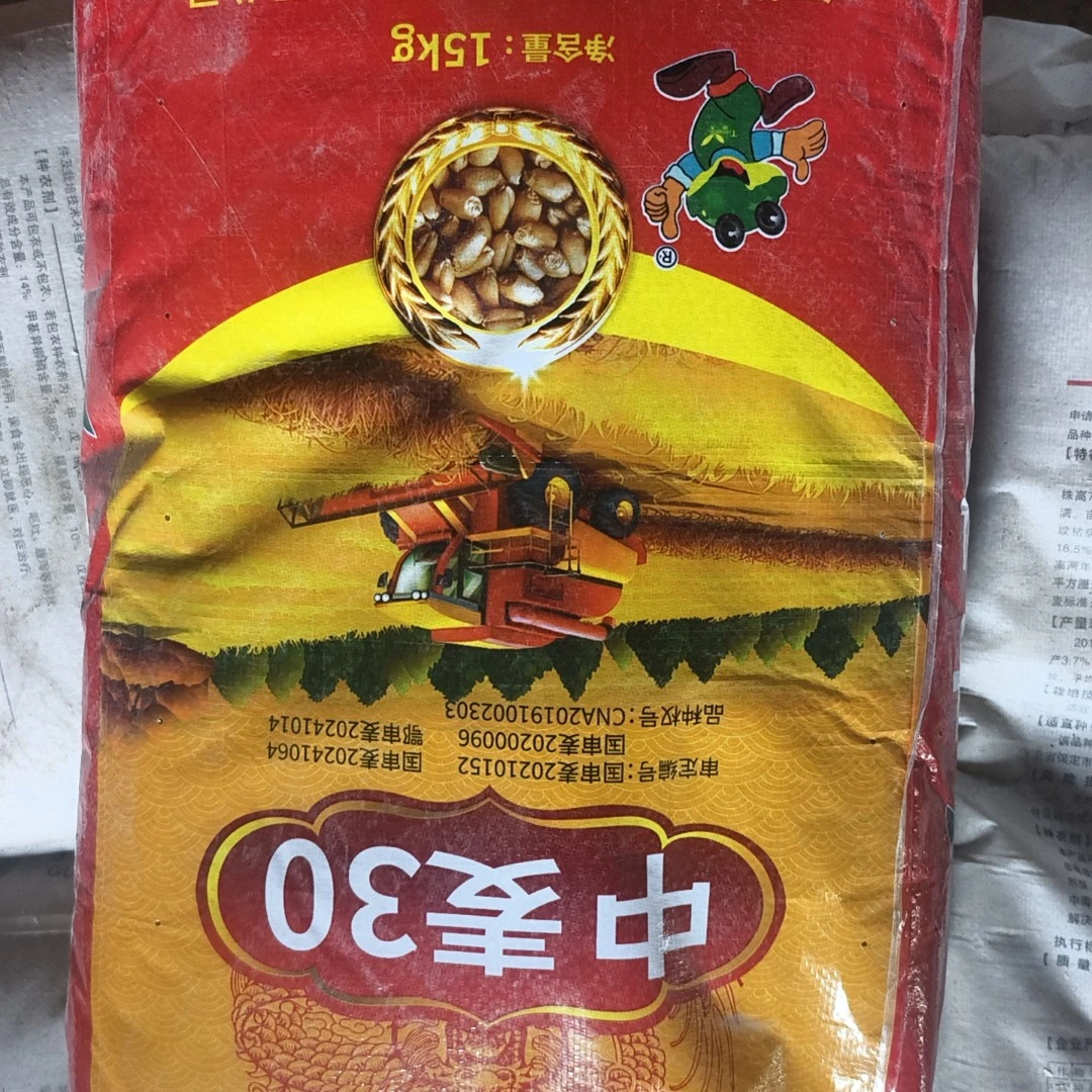 中麦30三国审定硬质