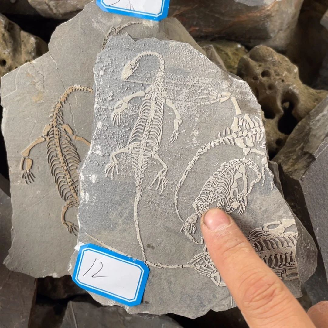 石材12222222222222222222