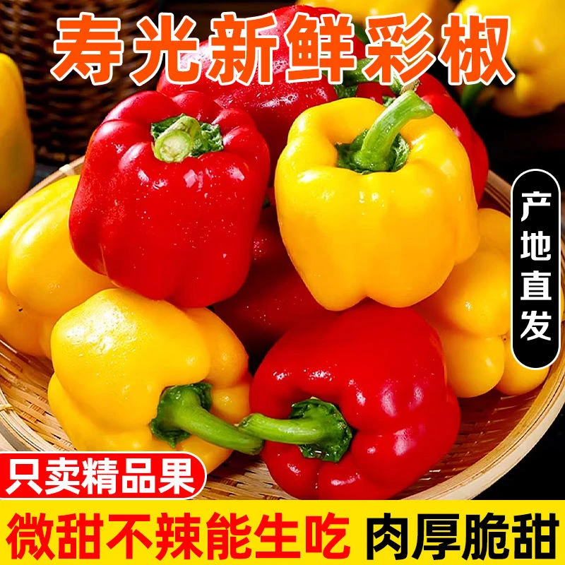 【顺丰包邮】山东寿光现摘现发水果彩椒红黄双色新鲜采摘