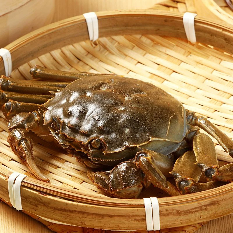 精品带膏母蟹1只装（2.2-1.8两/只)