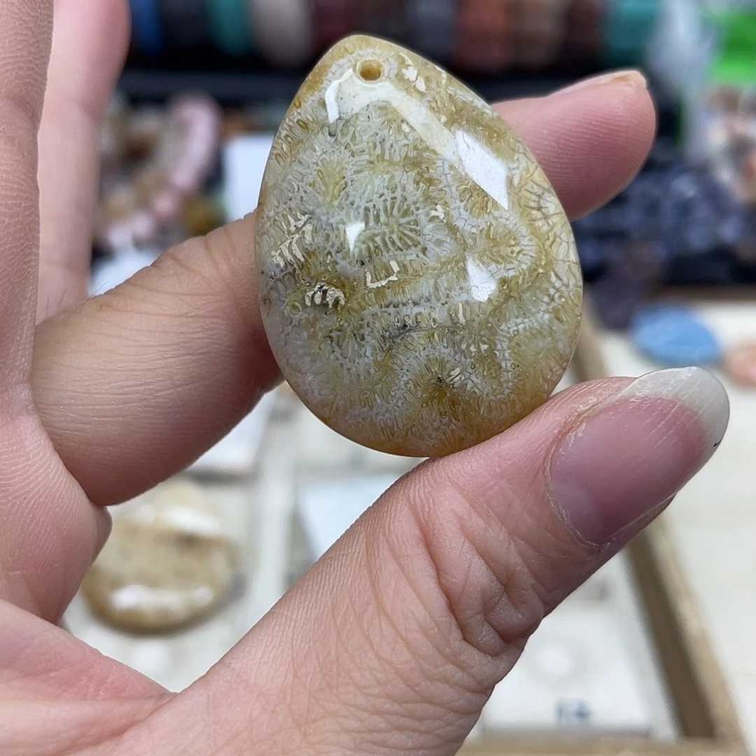未镶嵌手串硅化珊瑚（珊瑚玉）小*虾134