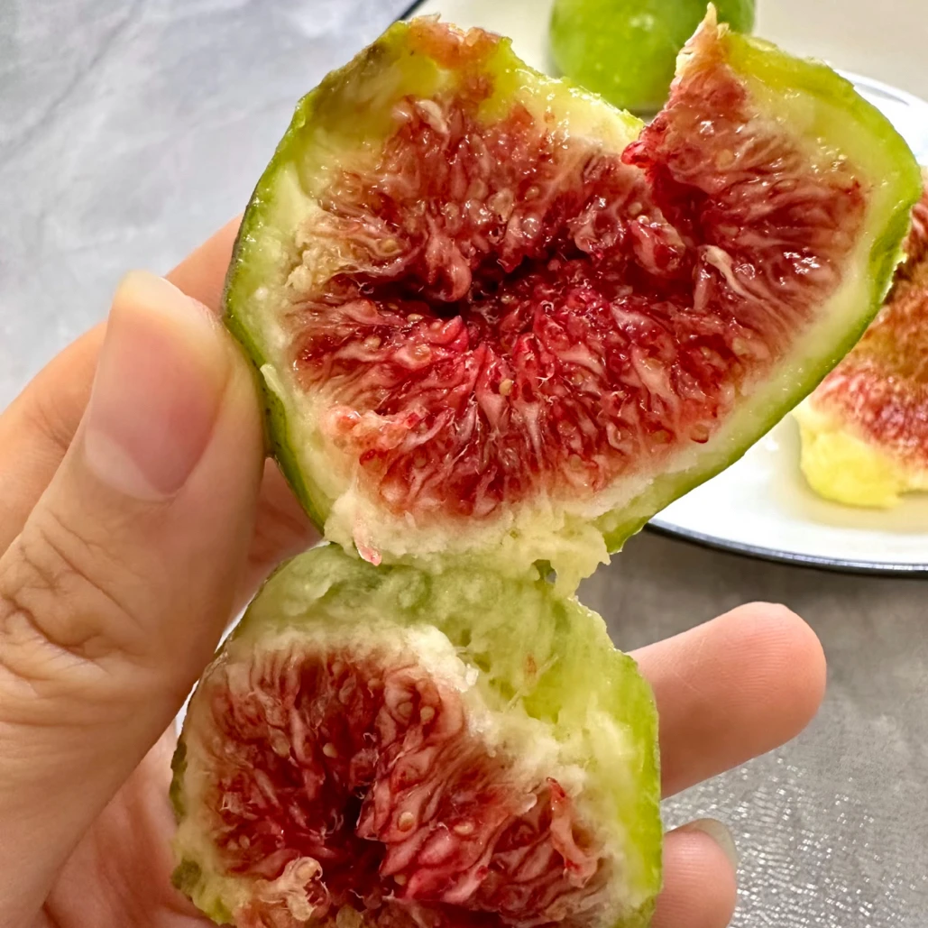 新鲜的无花果一盒