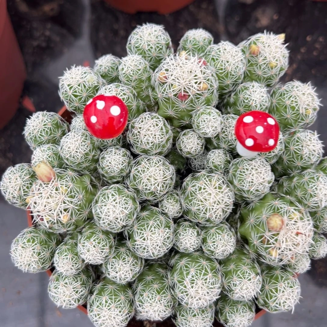 漫***生零零落落 零零落落