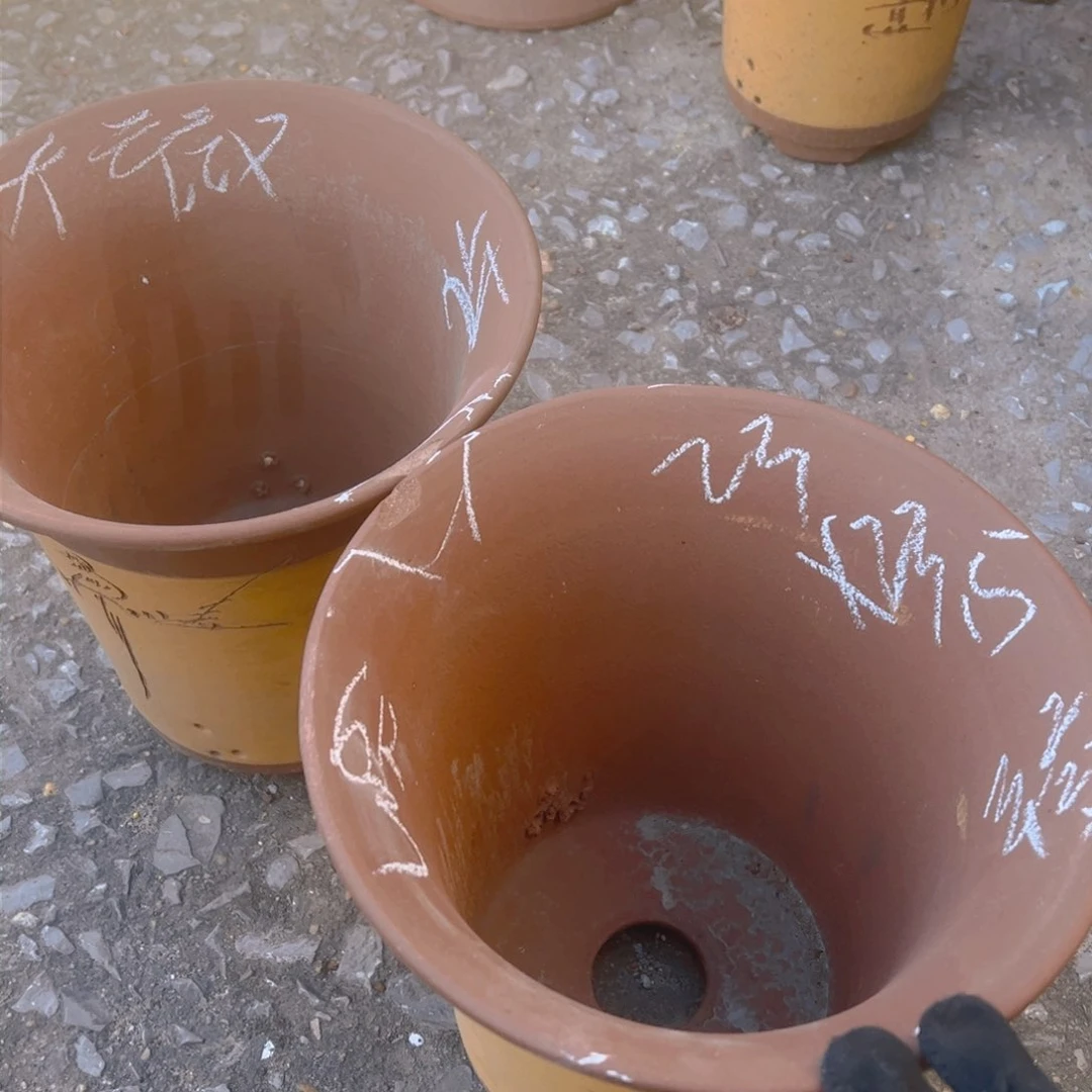 紫砂6号…………………………