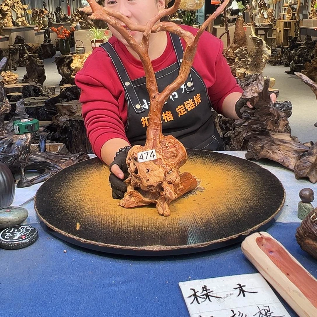 信***修木474hhhhghghhhhhhh