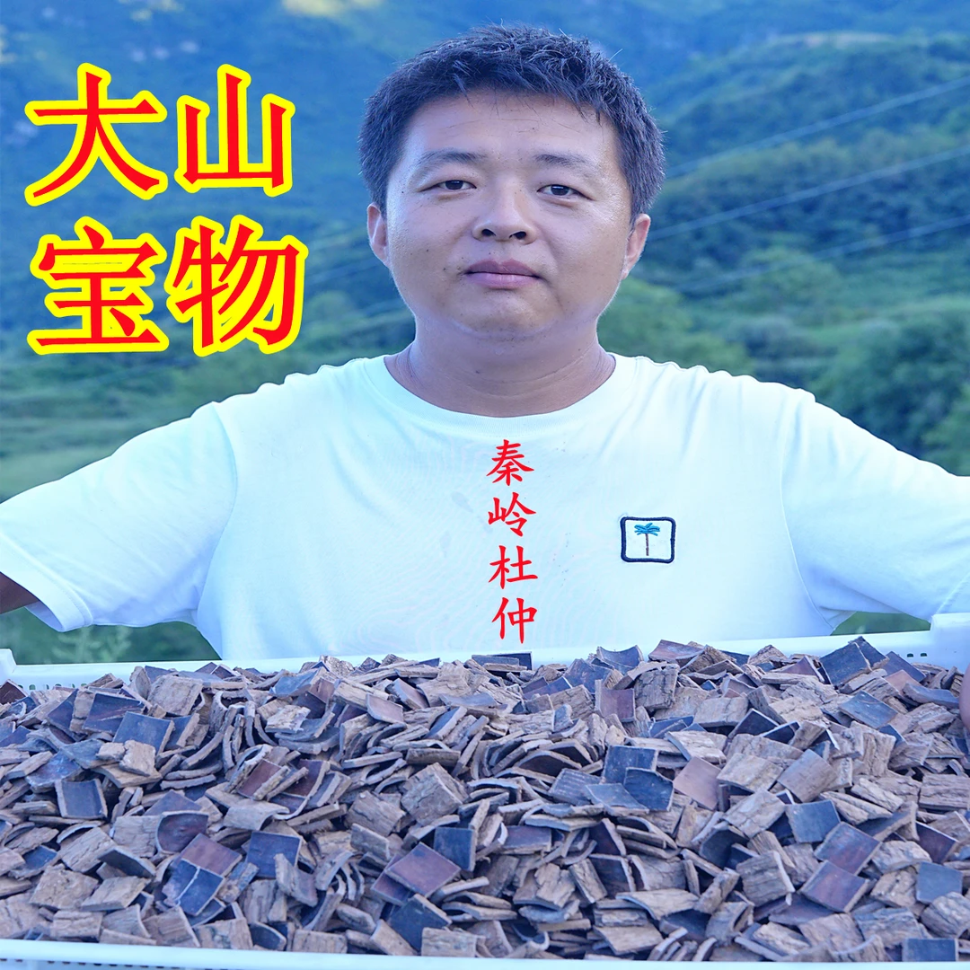 秦岭老树龄杜仲厚肉拉丝煲汤料正品干杜肿杜仲皮树皮泡茶煮水新货