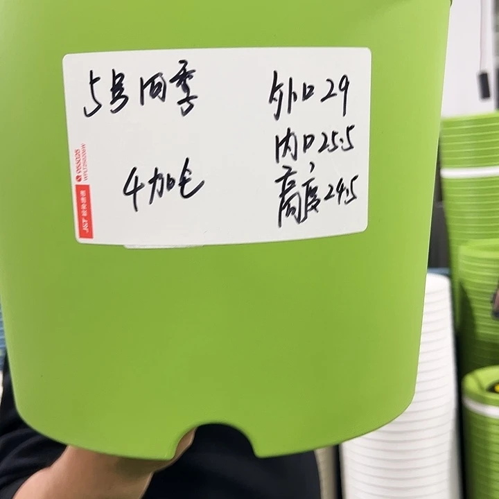 特价5号四季口25高21果绿色5个无托