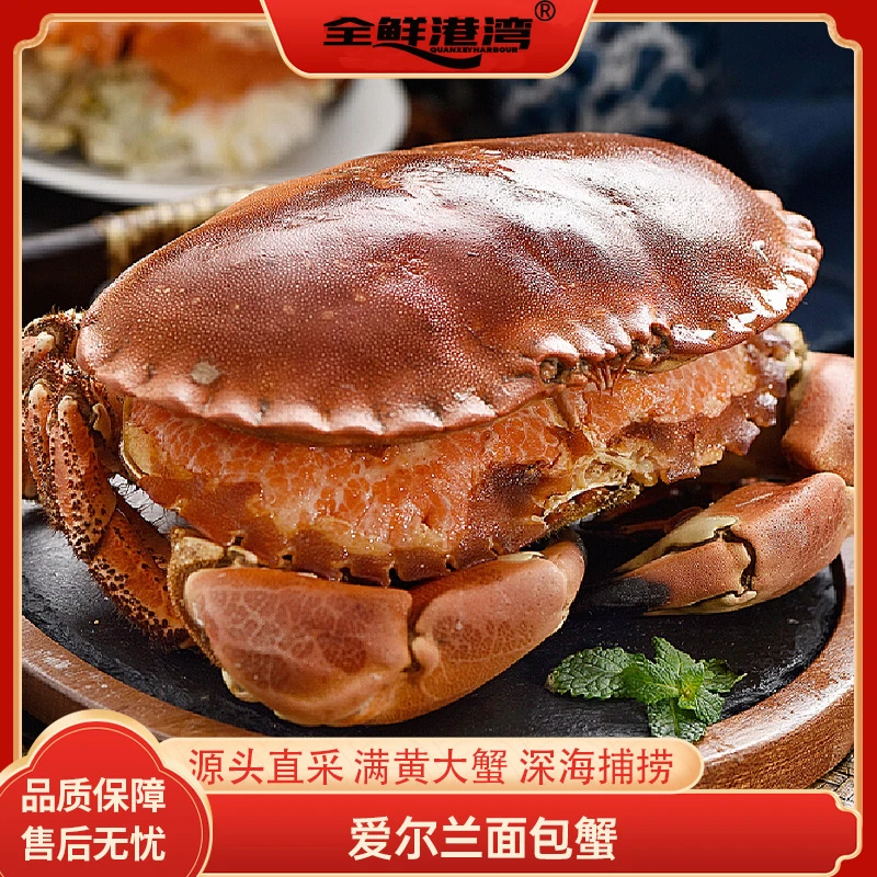 超大面包蟹鲜活熟冻精品大螃蟹海蟹新鲜海鲜水产黄金蟹礼盒