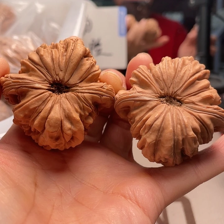 手串文玩核桃华坤龙138月底